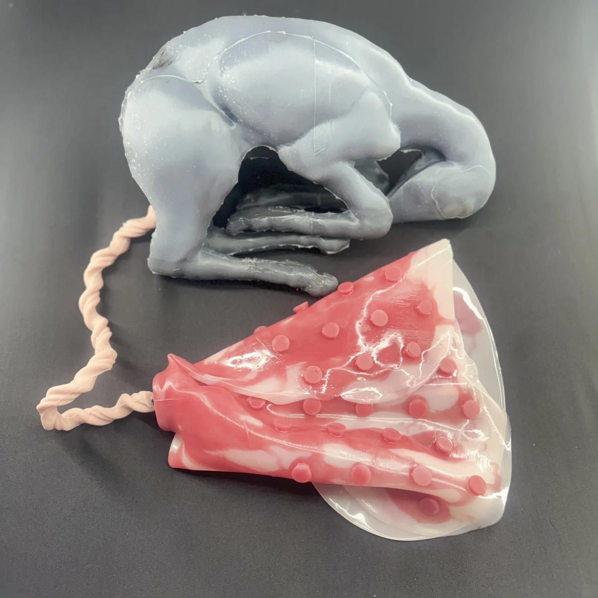 Articulated lamb with umbilical cord and cotyledonary placenta