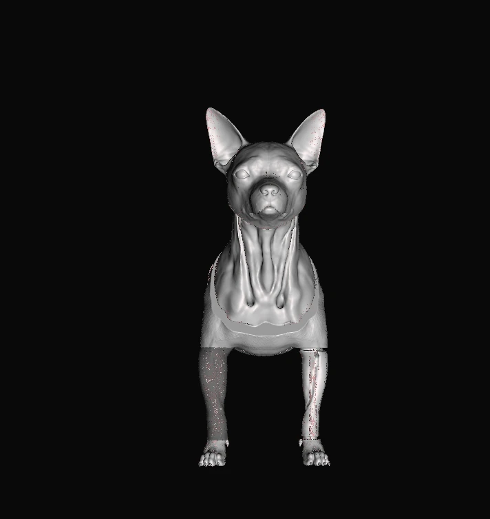 CT and Scan into IV Trainer