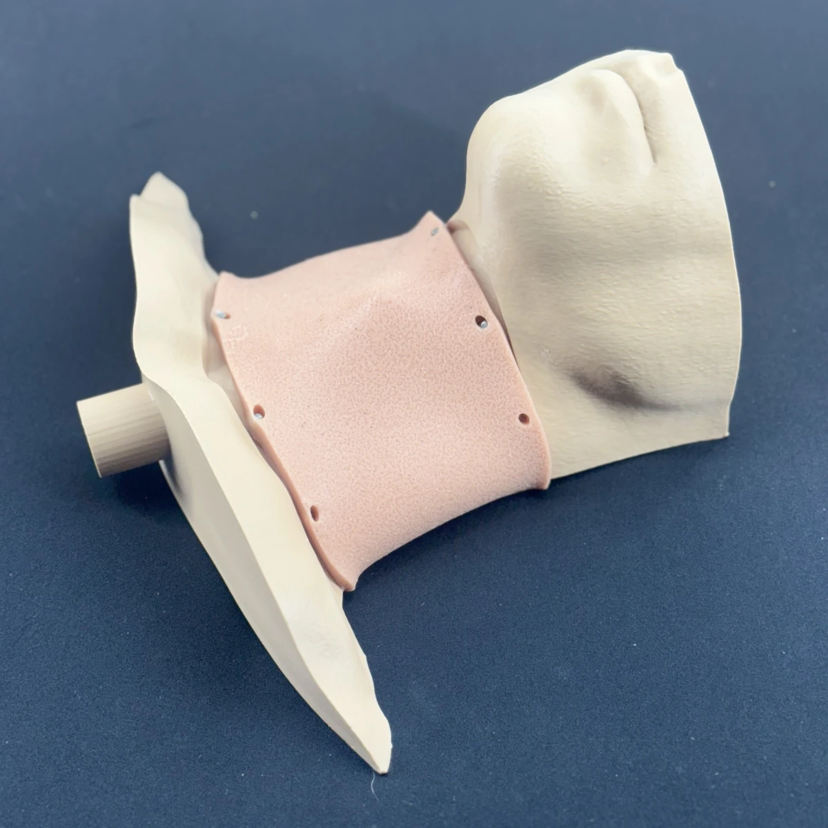 Larry N. Geal - Adult cricothyrotomy trainer (view 3)