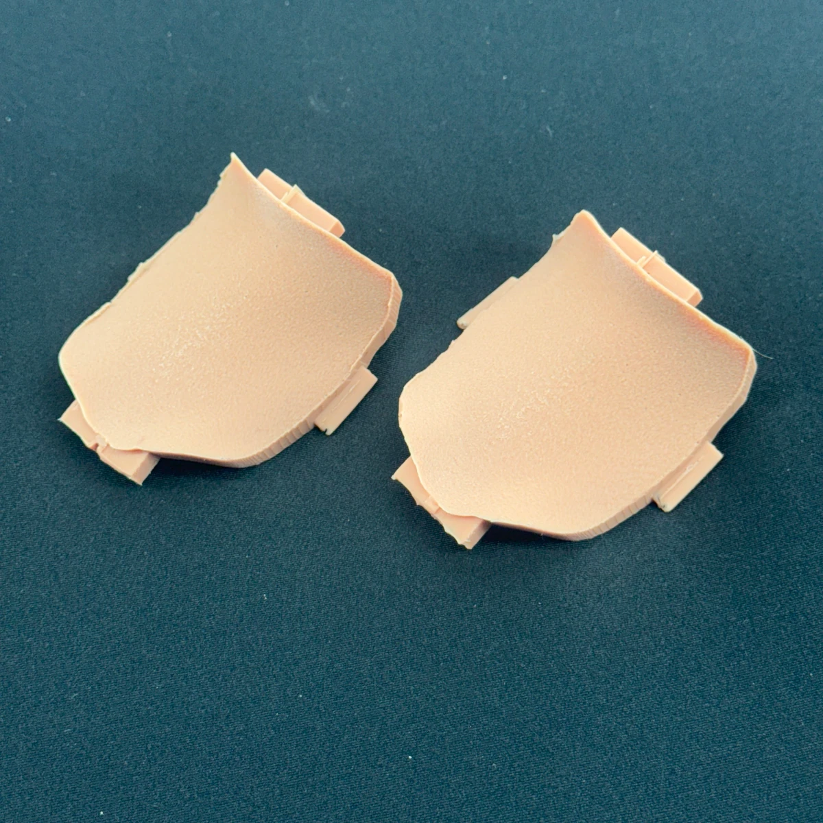 Larry N. Geal Jr. - Replacement tissues