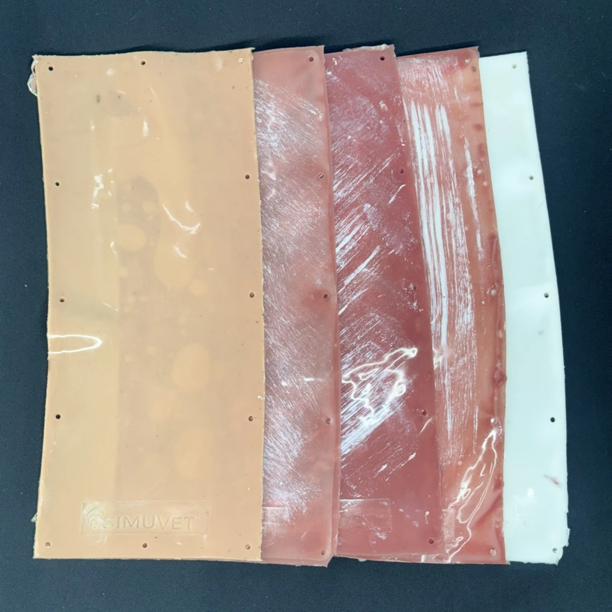 Small ruminant cesarean skins on SIMUVET Keg